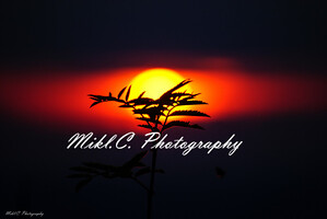 Mikl C Photography